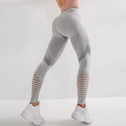 50261029912842|50261030174986|50261030240522|50261030273290