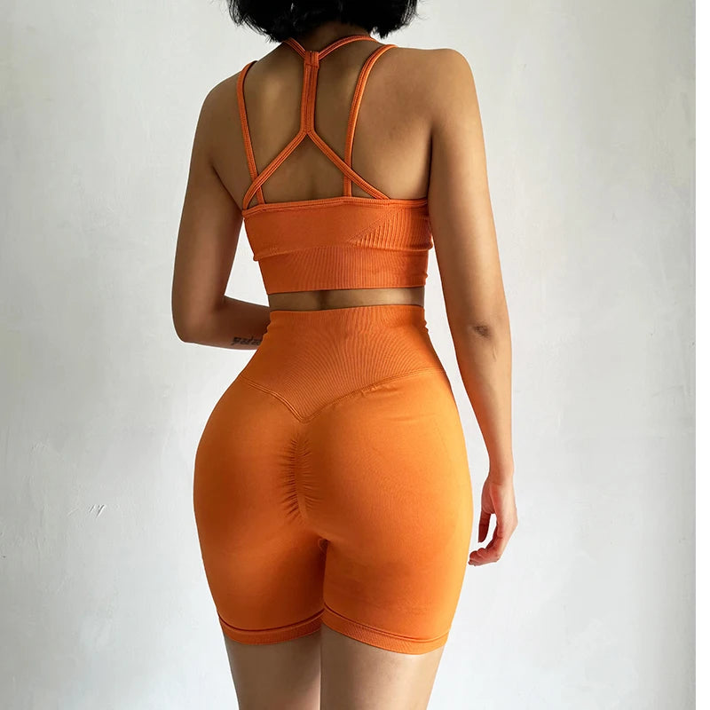 Ensemble de fitness